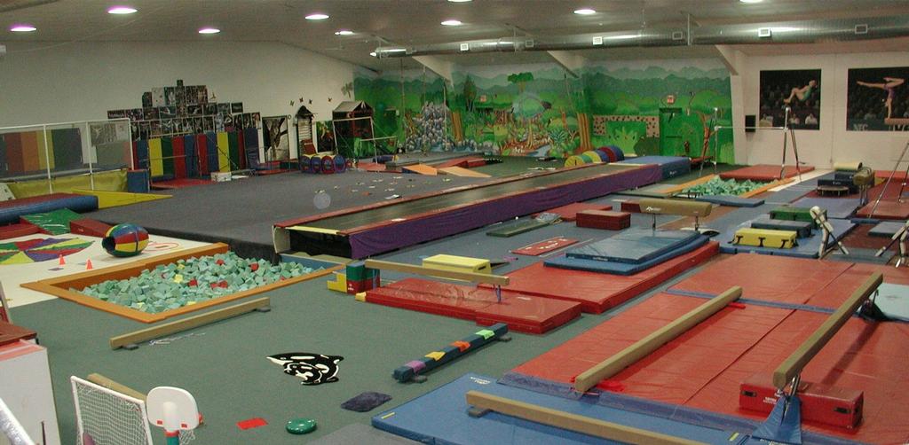 Pictures for Gymnastics in Acton, MA 01720 Gymnastics